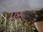 DSC00191.jpg