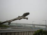 DSC00200.jpg