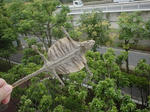 DSC00205.jpg
