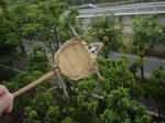 DSC00206.jpg