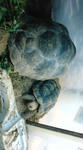 DSC00027.JPG