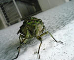 DSC00035.JPG