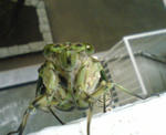 DSC00036.JPG
