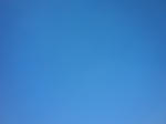DSC00049.jpg