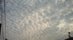 DSC00060.jpg