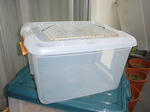 DSC00297.jpg