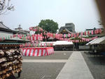 DSC00071.jpg
