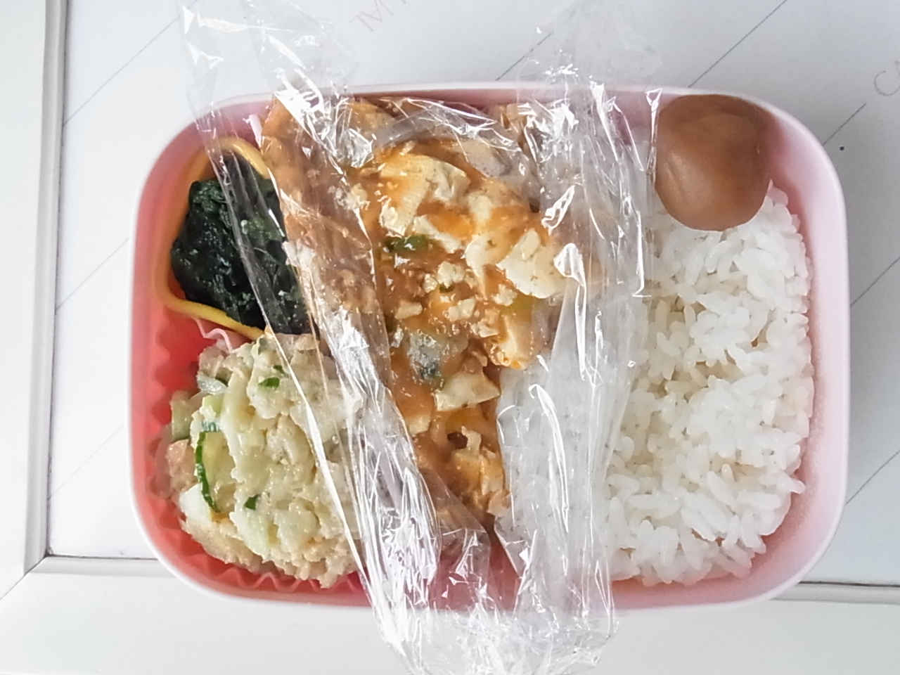 20130208.JPG