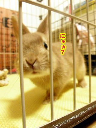 20081216-3.jpg