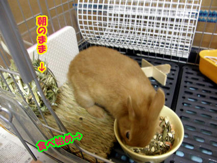 20081219.jpg