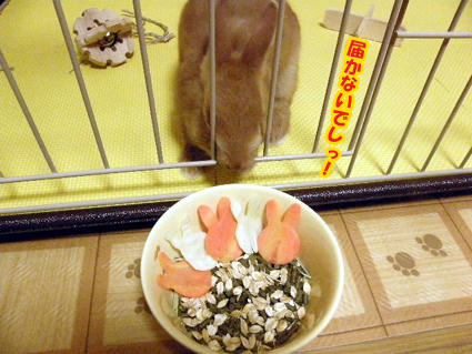 20081224-2.jpg