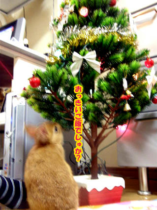 20081224-5.jpg