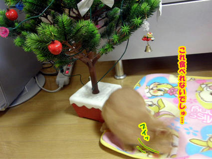 20081224-6.jpg