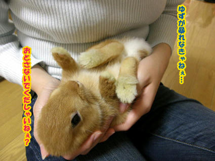 20081224-7.jpg