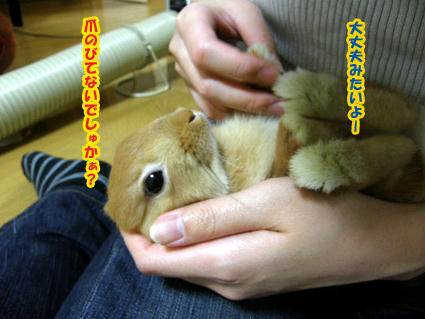 20081224-8.jpg