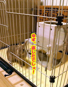 20090204-3.jpg