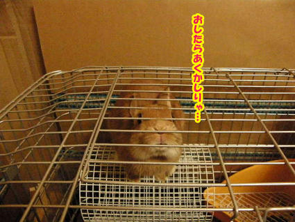 20090304-1.jpg