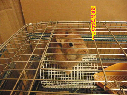 20090304-2.jpg