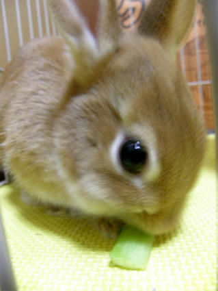20090307.jpg