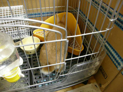 20090309-1.jpg