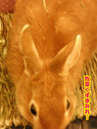 20090309-3.jpg