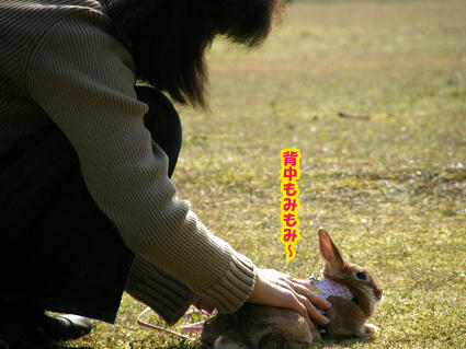 20090408-1.jpg