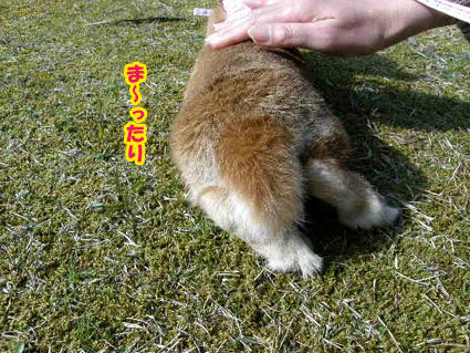 20090408-8.jpg