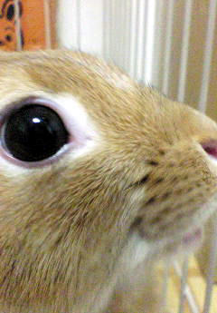 20090409-1.jpg