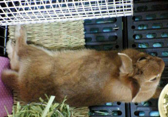 20090409-2.jpg