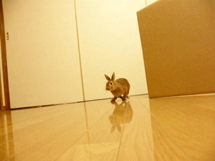 20090416-5.jpg