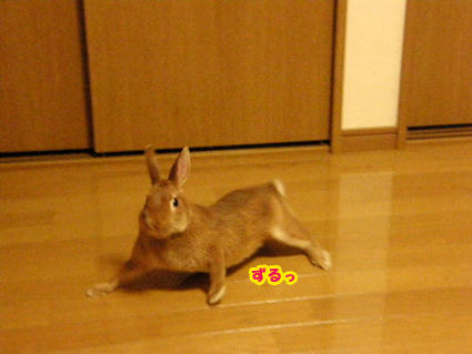 20090416-6.jpg