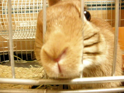 20090418-3.jpg