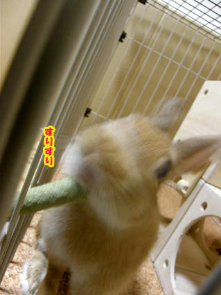 20090423-1.jpg