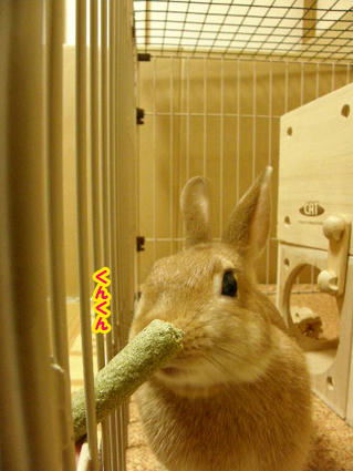 20090423-2.jpg