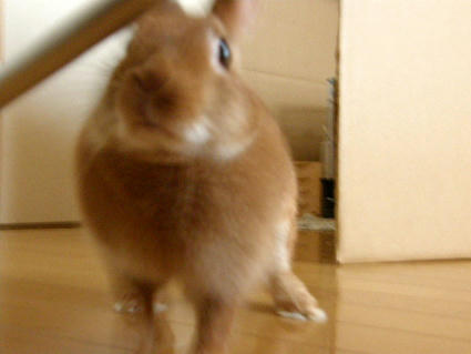 20090427-2.jpg