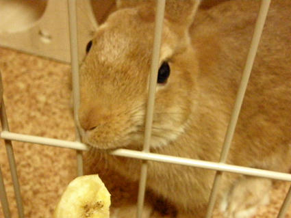 20090430-1.jpg
