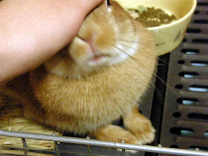 20090501-3.jpg