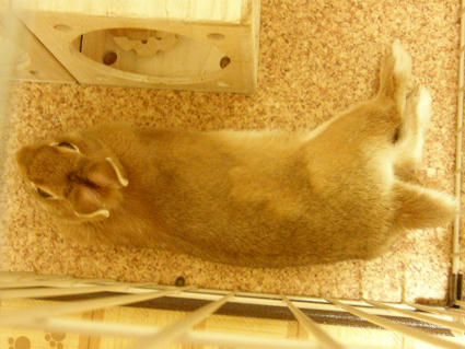20090505-7.jpg