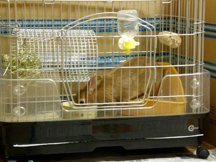 20090508-1.jpg