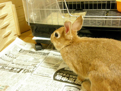 20090512-2.jpg