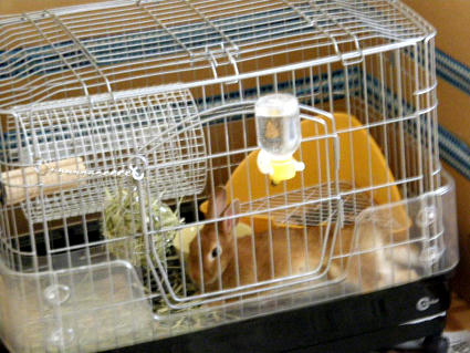 20090529.jpg