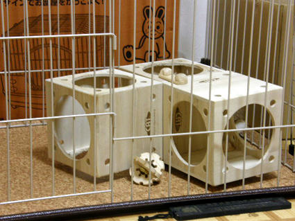 20090601-1.jpg