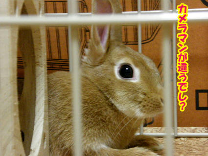20090603-2.jpg