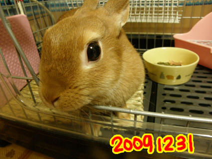 20091231-2.jpg