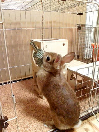 20100412.jpg