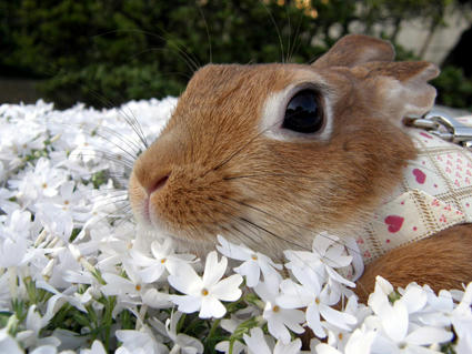 20100502-10.jpg