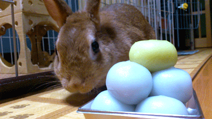 0912.gif