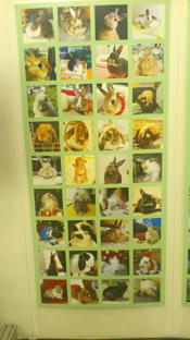 20111126-2.jpg