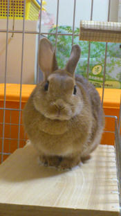 20111115.jpg
