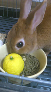 20111222.jpg
